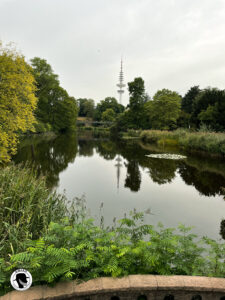 What to do in Hamburg - Image of a pond and d the TV tower