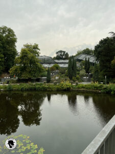 What to do in Hamburg, image of the glasshouse in the botanical gardens