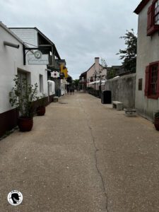 Image of a street in Historic St Augustine