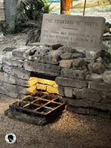Image of the fountain of youth i