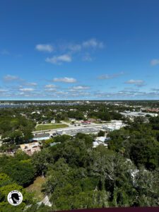view looking towards the city of St Augustine from the top of the lighthouse