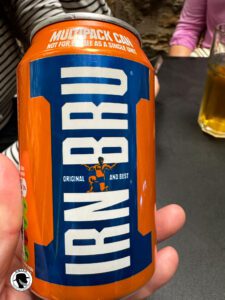 This is an image of the orange and blue can of the IRN BRU soft drink.
