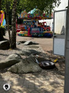 Loch Lomond Stirling Castle and the Kelpies- Play Zone on Loch Lomond Shores