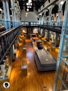 Main room at the Hunterian Museum