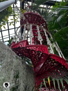 spiral staircase in the conservatory at the Botanic Gardens in Glasgow