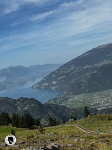 View of Lake Thun from the train going to the Schynige Platte