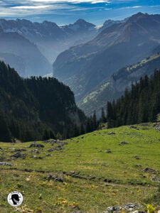 View from the train going to the Schynige Platte