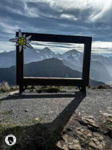 view of the Eiger, Monch and Jungfrau peaks from the Schynige Platter