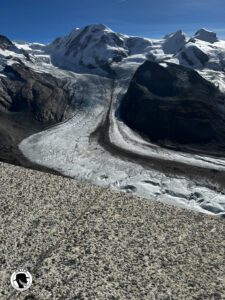 Image of the Gorner GLacier