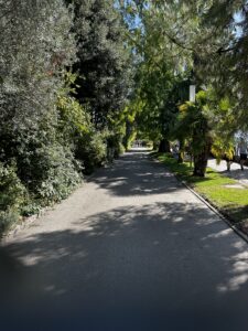 along the Promenade in Montreux